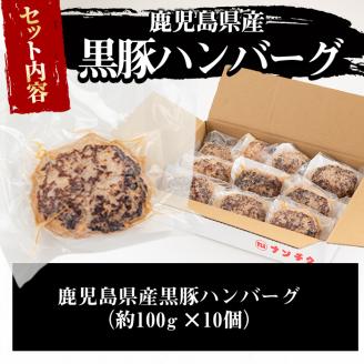 鹿児島県黒豚 100%使用 黒豚ハンバーグ(計1kg・100g×10個) a1-092