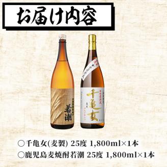 ＜入金確認後、2週間以内に発送！＞鹿児島麦焼酎＜若潮・千亀女＞飲み比べセット(各1.8L・計2本) a6-007-2w