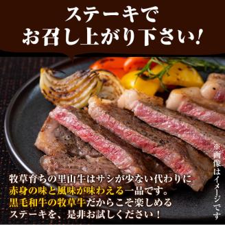 国産黒毛和牛 牧草育ちの里山牛 サーロインブロック 500g 黒毛和牛 和牛 肉 牛肉 国産 サーロイン ブロック 赤身 ステーキ b1-015