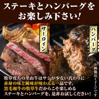 国産黒毛和牛 牧草育ちの里山牛 サーロインステーキ＆手作りハンバーグセット 計700g 黒毛和牛 和牛 肉 牛肉 国産 ハンバーグ サーロイン ステーキ b1-016