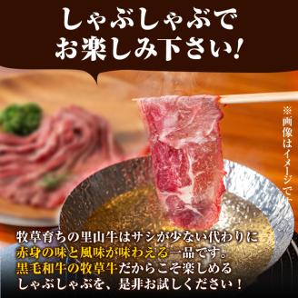 国産黒毛和牛 牧草育ちの里山牛 しゃぶしゃぶ用ロース 計400g(200g×2P) 黒毛和牛 和牛 肉 牛肉 国産 ロース しゃぶしゃぶ 赤身  a9-025