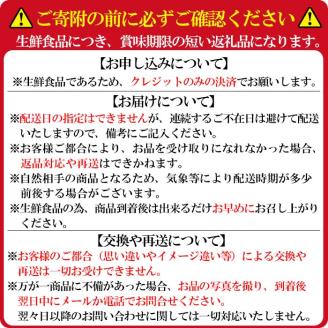 【数量限定】鹿児島県産朝採れイチゴ「恋みのり」約1080g(約270g×4パック)　いちご イチゴ 苺 果物 フルーツ スイーツ デザート お菓子 人気 甘い 大粒 ジャム スムージー a3-209