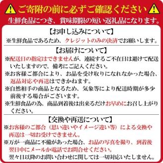 鹿児島県産いちご！ 品種おまかせ赤いちご4Pセット(計1kg・約270g×4P) a5-168
