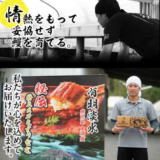 【数量限定】鹿児島県産！秘伝の特上スタミナうなぎ蒲焼き＆白焼きセット！＜計260g以上＞肝吸いセット！ a5-349