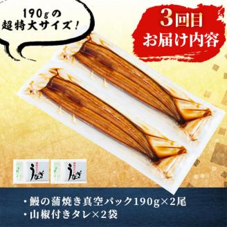 【定期便・全3回】志布志鰻三昧！事業者別の鰻を食べ比べ＜計9尾・1.4kg以上＞ t0066-006