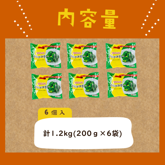 【志布志市制20周年記念】鹿児島県産 冷凍ブロッコリー(計1.2kg) ブロッコリー 野菜 冷凍 カット カット野菜 国産 簡単 手軽 サラダ 味噌汁 スープ お弁当 p9-044