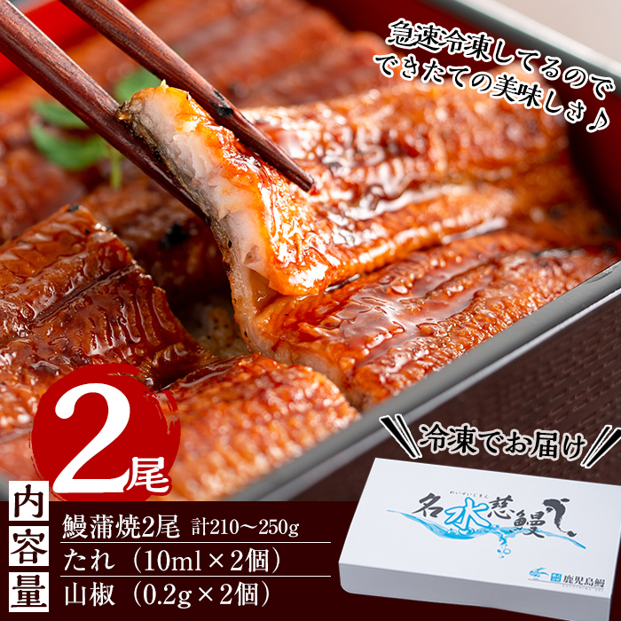 【10営業日以内に発送】鹿児島県産うなぎ蒲焼 名水慈鰻 2尾＜計210～250g＞ うなぎ 鰻 ウナギ 2尾 国産 蒲焼 かばやき 冷凍 真空 真空パック 無頭 うな重 ひつまぶし タレ 山椒 a1-151