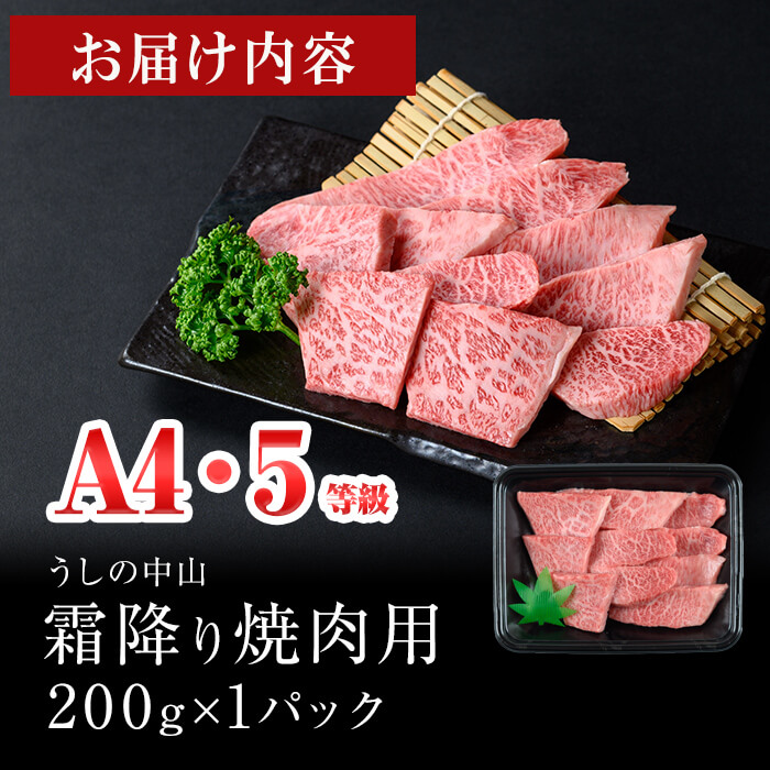 ＜A4・A5等級＞鹿児島県産黒毛和牛 うしの中山 霜降り焼肉用200g 黒毛和牛 和牛 肉 牛肉 国産 九州産 鹿児島県産 焼肉 霜降り 日本一 a2-113