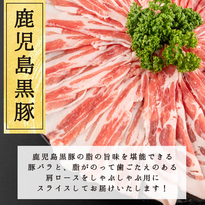 鹿児島県産黒豚しゃぶしゃぶ2種＆大根ポンズセット計1kg(カタロース約500g・バラ約500g・たれ170g) お鍋 冷しゃぶ しゃぶしゃぶ スライス ロース 豚バラ バラ 小分け 国産 a5-301