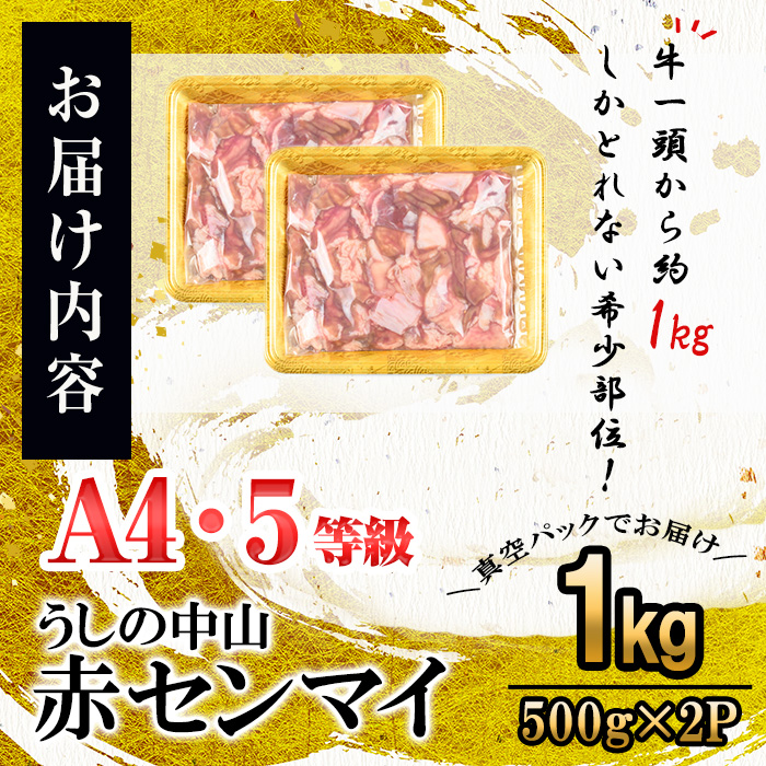 うしの中山 A4・A5等級黒毛和牛 赤センマイ（ギアラ）計1kg（500g×2P）黒毛和牛 和牛 肉 ホルモン 国産 九州産 鹿児島県産 焼肉 煮込み 鍋料理 もつ鍋 日本一 a5-345