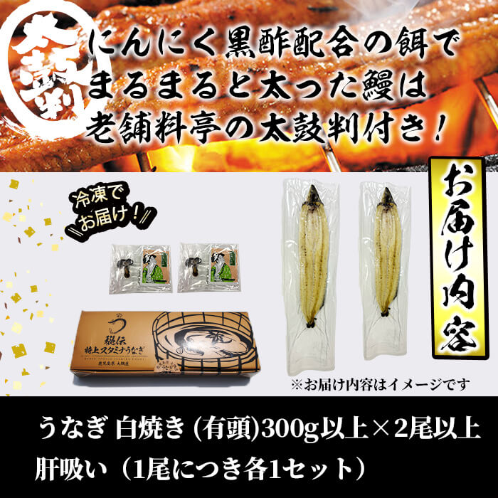 【訳あり】鹿児島県産！秘伝の特上スタミナうなぎ白焼き＜計300g以上／2尾以上＞肝吸いセット！ a6-064