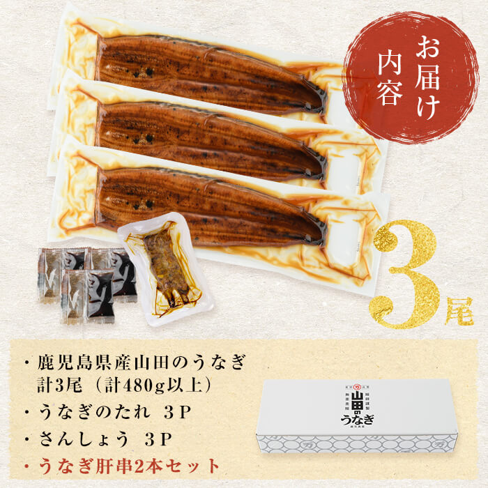 【無薬養鰻】 鹿児島産 山田のうなぎ ＜計480g以上＞（160g以上×3尾） 肝串セット うなぎ 鰻 ウナギ 無薬 養鰻 無投薬 3尾 国産 九州産 蒲焼き かばやき 冷凍 うな重 ひつまぶし タレ 山椒 【ポータル限定】 a6-062-km