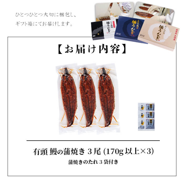 楠田の極うなぎ 蒲焼き 170g以上×3尾(計510g以上) b2-010