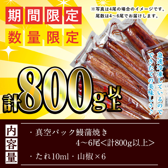 【訳あり・数量限定】復活！不揃いのうなぎ達 計800g以上(鹿児島県産 鰻の蒲焼き)　うなぎ 鰻 ウナギ 不揃い ふぞろい 訳アリ 国産 九州産 蒲焼 蒲焼き かばやき 冷凍 うな重 ひつまぶし 人気 b2-040