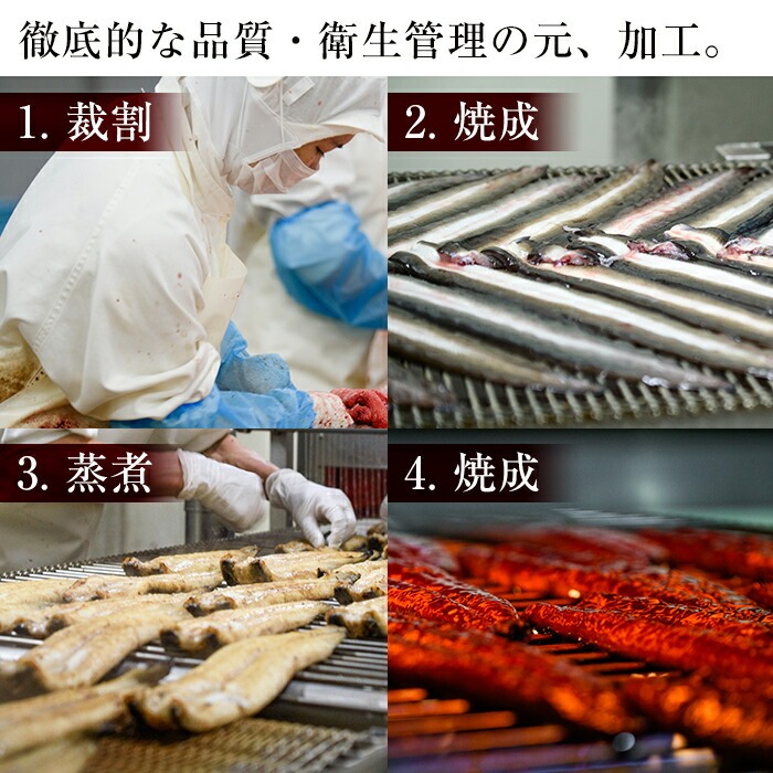 鹿児島県産うなぎ蒲焼 名水慈鰻 特大3尾(1尾190g以上)＜計570g以上＞　うなぎ 鰻 ウナギ 3尾 国産 蒲焼 かばやき 冷凍 真空 真空パック 無頭 うな重 ひつまぶし タレ 山椒 b1-023