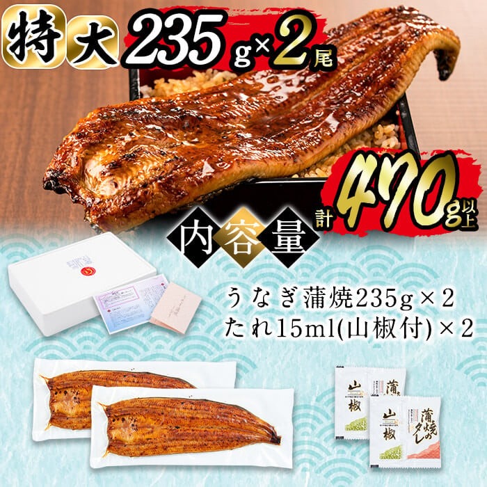 日ノ本一の鰻の蒲焼き＜特大＞2尾セット(計470g以上) うなぎ 鰻 ウナギ 国産 鹿児島県産 九州産 蒲焼き 冷凍 うな重 ひつまぶし b3-010