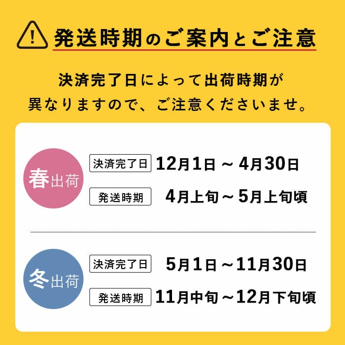【春限定】極上メロン「秘蔵っ娘」白玉(青肉)2個 メロン マスクメロン 果物 くだもの デザート 青肉 b5-037-s