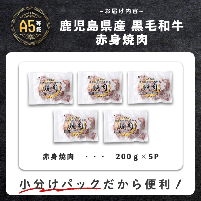 【小分け】＜A5等級＞鹿児島県産黒毛和牛 赤身焼肉(200g×5パック/計1kg)   牛肉 肉 小分け 鹿児島県産 国産 A5 赤身 焼肉 焼き肉 やきにく 黒毛和牛 BBQ 全国和牛能力共進会 ヘルシー あっさり b5-189