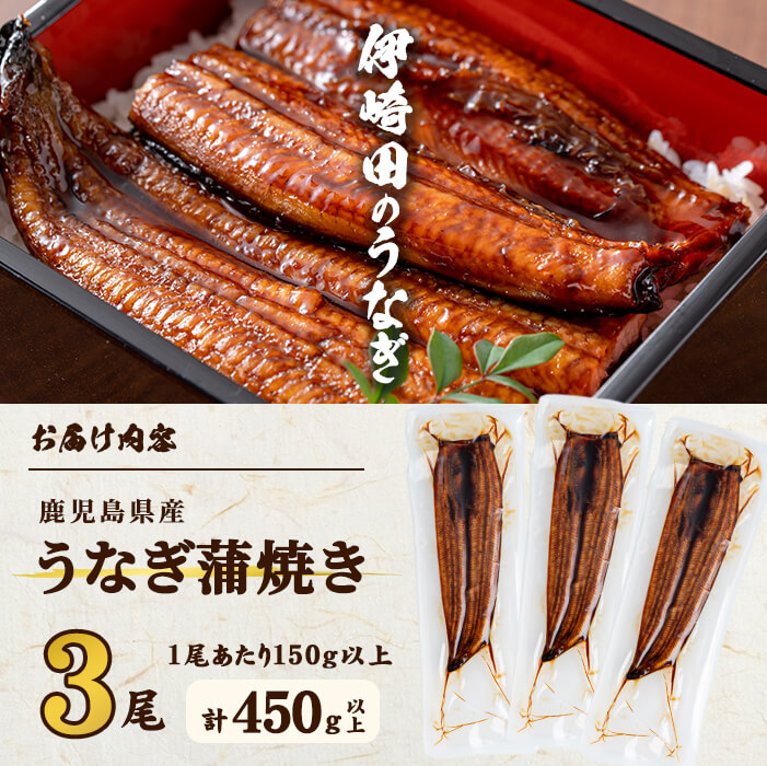 【ギフト対応】【数量限定】鹿児島県産 伊崎田のうなぎ蒲焼 中＜150g以上＞× 3尾(計450g以上) 鰻 うなぎ ウナギ 蒲焼き 3尾 国産 九州産 鹿児島県産 冷凍 おつまみ 鰻重 うな丼 ギフト 贈答用 プレゼント 化粧箱 b5-185