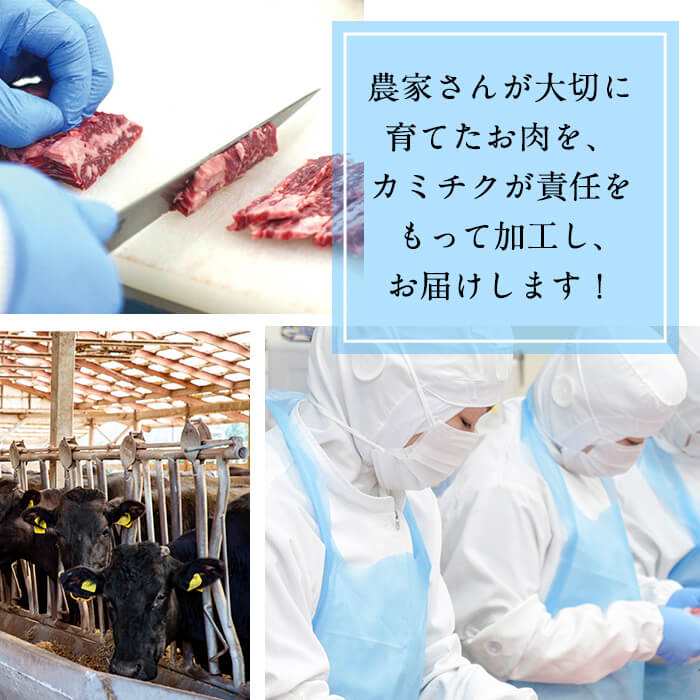 【小分け】＜A5等級＞鹿児島県産黒毛和牛 ヒレステーキ2種盛(240g×2パック/計480g) 肉 牛肉 鹿児島県産 国産 小分け ステーキ ステーキ肉 ヒレ ヒレ肉 黒毛和牛 希少部位 A5 赤身 全国和牛能力共進会 サイコロ セット b6-023