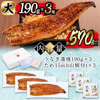 日ノ本一の鰻の蒲焼き＜大＞3尾セット(計570g以上) うなぎ 鰻 ウナギ 国産 鹿児島県産 九州産 蒲焼き 冷凍 うな重 ひつまぶし b7-029