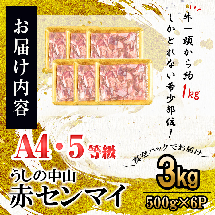 うしの中山 A4・A5等級黒毛和牛 赤センマイ（ギアラ）計3kg（500g×6P）黒毛和牛 和牛 肉 ホルモン 国産 九州産 鹿児島県産 焼肉 煮込み 鍋料理 もつ鍋 日本一 c0-132