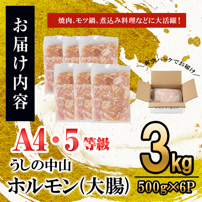 うしの中山 A4・A5等級黒毛和牛 ホルモン（大腸） 計3kg（500g×6袋）黒毛和牛 和牛 肉 牛肉 国産 九州産 鹿児島県産 ホルモン 焼肉 日本一 c0-135