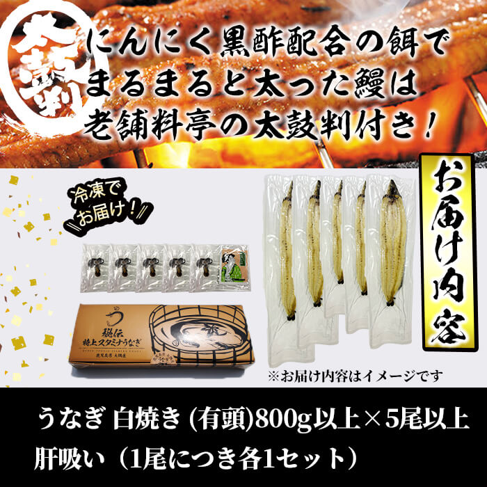 【訳あり】鹿児島県産！秘伝の特上スタミナうなぎ白焼き＜計800g以上／5尾以上＞肝吸いセット！ d1-008
