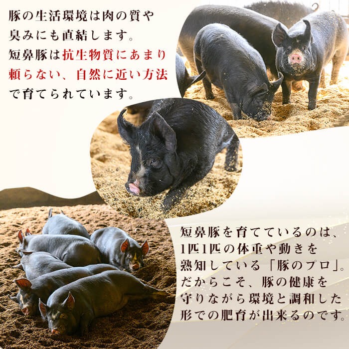 【無添加】【ギフト対応】【訳あり】「福別府農場」鹿児島黒豚無添加スモークウインナー 計2.5kg(500g×5P) ウインナー ソーセージ 添加物不使用 無添加 黒豚 国産 豚肉 贈り物 プレゼント 冷凍 おつまみ おかず お中元 お歳暮 お弁当 e0-054