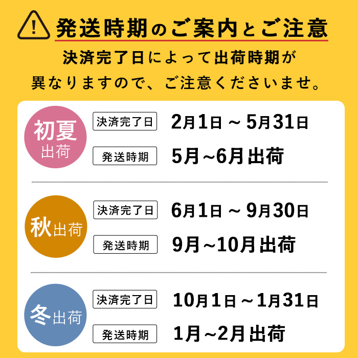【期間限定・数量限定】鹿児島県志布志産 摘果メロン(子メロン・小メロン) 2kg a0-330