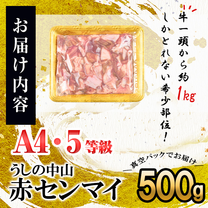 うしの中山 A4・A5等級黒毛和牛 赤センマイ（ギアラ）計500g（500g×1P）黒毛和牛 和牛 肉 ホルモン 国産 九州産 鹿児島県産 焼肉 煮込み 鍋料理 もつ鍋 日本一 p9-033