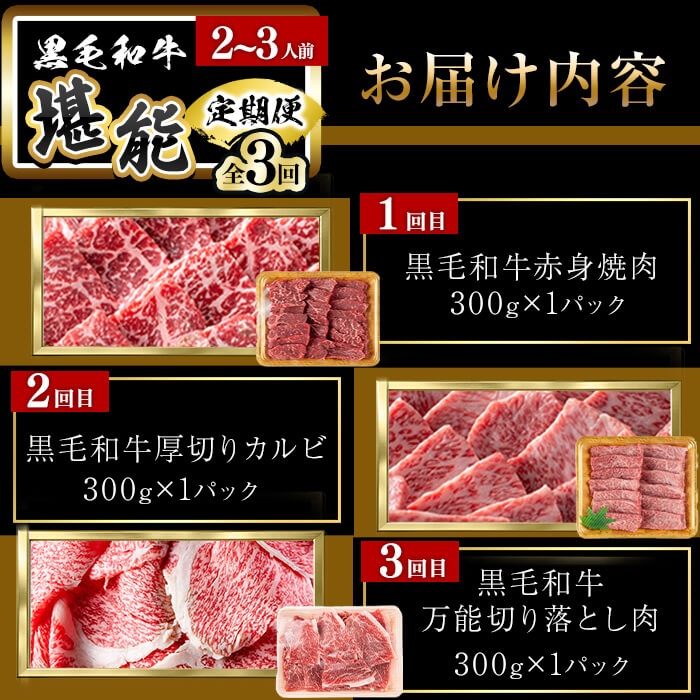 【定期便全3回】＜A4・A5等級＞黒毛和牛堪能〈お試し〉定期便（2～3人分）総重量900g 鹿児島県産 黒毛和牛 和牛 肉 牛肉 国産 九州産 鹿児島県産 焼肉 焼き肉 BBQ ランキング 人気 A4 A5 赤身 切り落とし カルビ お楽しみ 食べ比べ 2人前 3人前 t0035-002