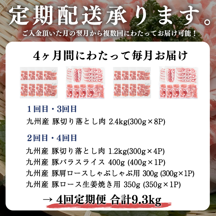 【定期便 全4回】九州産豚肉 生活応援定期便(計9.3kg) 定期便 豚肉 ぶた肉 肉 国産 九州産 切り落とし 切落し 小分け 真空パック チャック付き 野菜炒め 豚丼 カレー t0050-020