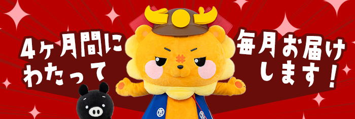 【定期便全4回】ししまる牛・豚定期便A(4ヶ月連続・計4.29kg以上) 黒毛和牛 黒豚 国産牛 九州産 豚 豚肉 肉 牛肉 国産 小分け 真空包装 冷凍 t0044-007