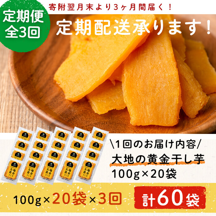 【定期便・全3回】大地の黄金干し芋 計6kg(100g×20袋×3回)さつまいも さつま芋 ほしいも 干しいも 紅はるか 国産 九州産 鹿児島県産 小分け スイーツ 干し芋 人気 常温 常温保存 定期便 t006-008