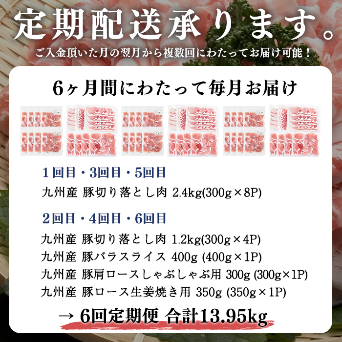 【定期便 全6回】九州産豚肉 生活応援定期便(計13.95kg) 定期便 豚肉 ぶた肉 肉 国産 九州産 切り落とし 切落し 小分け 真空パック チャック付き 野菜炒め 豚丼 カレー t0075-001