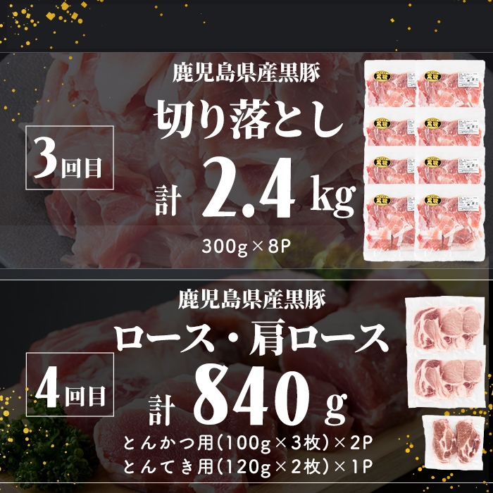 【定期便全4回】 鹿児島県産黒豚の満喫定期便(計5.1kg) 国産 鹿児島県産 黒豚 肉 豚肉 しゃぶしゃぶ ヒレ 豚ヒレ ヒレ肉 ひれかつ 豚カツ トンカツ トンテキ ブロック 定期便 小分け 食べ比べ セット t0058-004