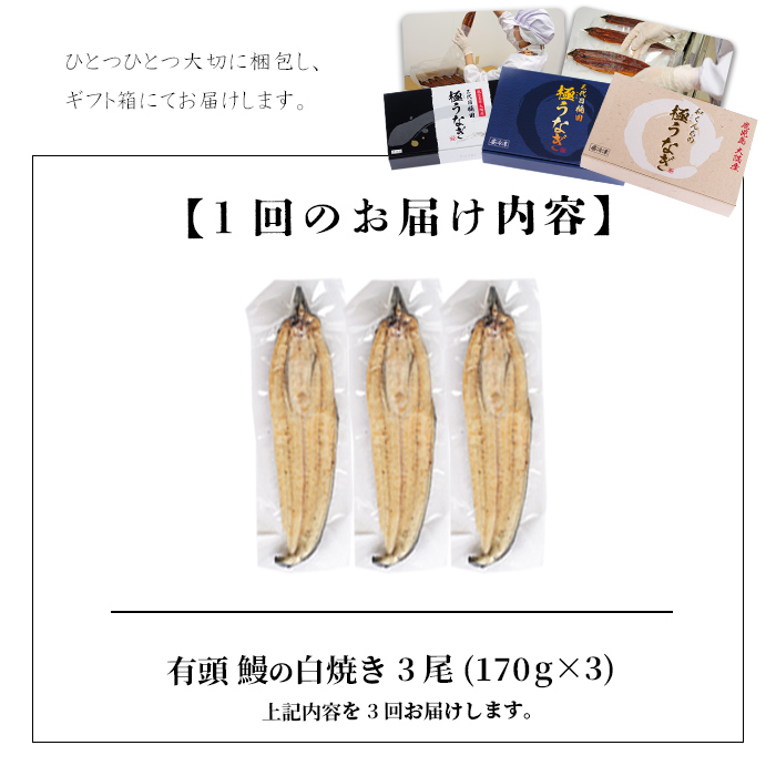 【定期便全3回】うなぎ本来の旨みが楽しめる白焼き定期便！ t0066-002