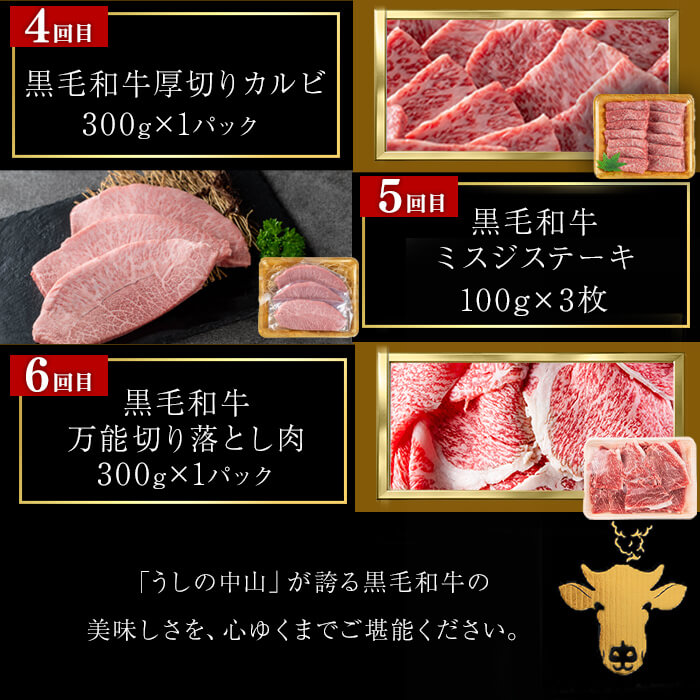 【定期便全6回】＜A4・A5等級＞黒毛和牛堪能〈満足〉定期便（2～3人分）総重量1.95kg 鹿児島県産 黒毛和牛 和牛 肉 牛肉 国産 九州産 鹿児島県産 焼肉 焼き肉 BBQ A4 A5 赤身 切り落とし カルビ お楽しみ 食べ比べ ハンバーグ ミスジ 霜降り ステーキ 2人前 3人前 t0069-001