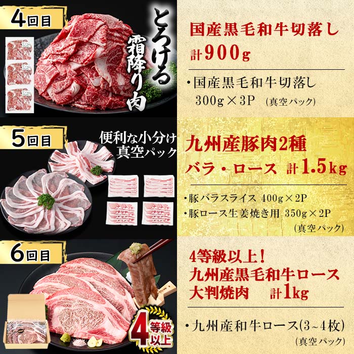 【定期便全6回】大満足！和牛・豚肉定期便(6ヶ月連続・総量8kg以上) 黒毛和牛 国産牛 九州産 豚 豚肉 肉 牛肉 国産 しゃぶしゃぶ 豚バラ 切り落し 大容量 人気 4等級 小分け 真空包装 t0078-003
