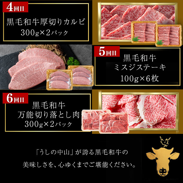 【定期便全6回】＜A4・A5等級＞黒毛和牛堪能〈満足〉定期便（5～6人分）総重量3.9kg 鹿児島県産 黒毛和牛 和牛 肉 牛肉 国産 九州産 鹿児島県産 焼肉 焼き肉 BBQ A4 A5 赤身 切り落とし カルビ お楽しみ 食べ比べ ハンバーグ ミスジ 霜降り ステーキ 5人前 6人前 t0118-002