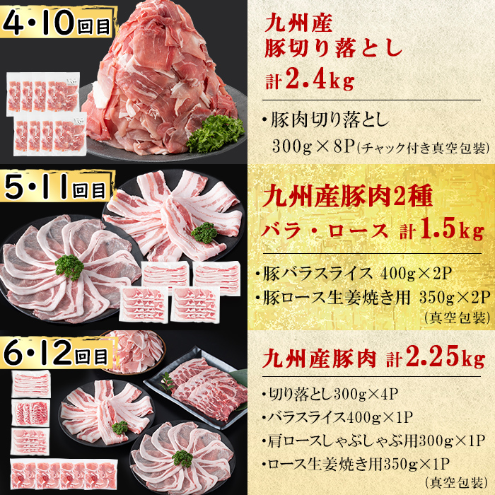 【定期便全12回】豚肉堪能定期便(12ヶ月連続・総量21.6kg以上) 豚 豚肉 肉 国産 九州産 しゃぶしゃぶ 焼肉 豚バラ ロース 切り落し 大容量 人気 小分け 真空包装 t0160-001