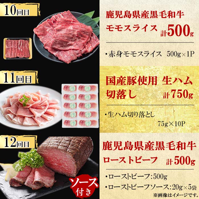 【定期便・全12回】ナンチクのお肉を楽しむ定期便！ナンチク厳選コース！ 総量8.5kg超! 牛肉 豚肉 鹿児島県産 国産 黒毛和牛 ステーキ すきやき しゃぶしゃぶ 焼肉 BBQ ウインナー ソーセージ ハム ローストビーフ 生ハム 定期便? t0165-001