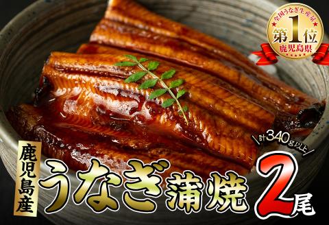 くすだ屋の極上うなぎ 2尾(170g×2)＜計340g以上＞ a6-044