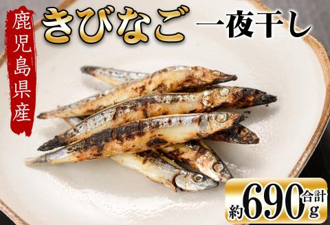 鹿児島県産 黒潮の恵み！天然物きびなご一夜干し約230g×3パック（合計約690g）a3-191