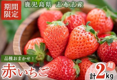 鹿児島県産いちご！ 品種おまかせ赤いちご8Pセット(計2kg・約270g×8P) c0-016