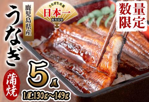 鹿児島県産 伊崎田のうなぎ蒲焼 ＜130g以上＞× 5尾(計650g以上) b8-033