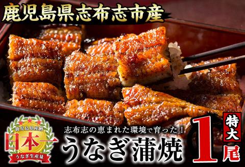 うなぎの大楠＜特大＞1尾170g a1-104