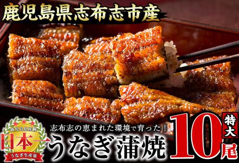 うなぎの大楠＜特大＞10尾セット計1.7kg(170g×10) g4-017