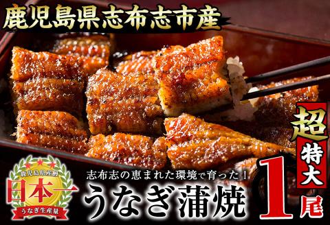 【数量限定】うなぎの大楠＜超特大＞1尾190g a2-075